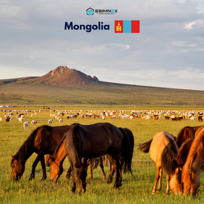 Mongolia
