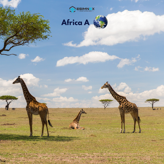 Africa A (Egypt, Tunisia, Algeria)